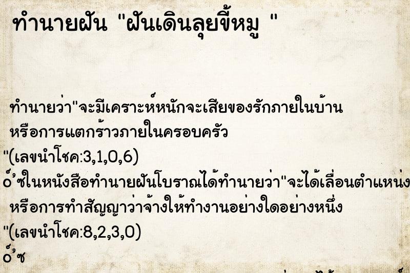 ทำนายฝันทำนายฝันฝันเดินลุยขี้หมู